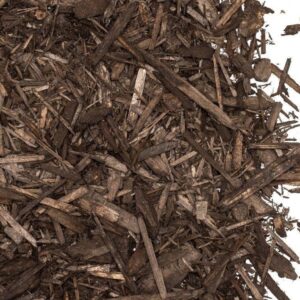 Coffee Brown