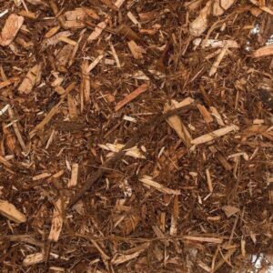 Western Red Cedar